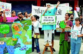 Doon boils over on cutting down of loved, old trees