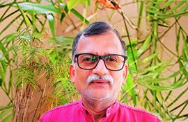 'Let's see if the cheetahs are put in the wild'