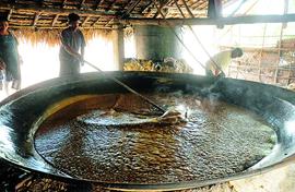 Good jaggery: When searching remember dark is better