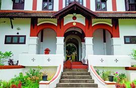 Cricket, cake, circus