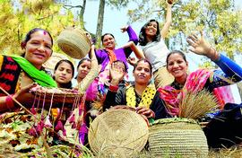 From fellowship to rural startup