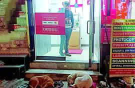 ABC not last word, many laws exist 