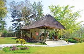 A snug cottage in the jungle