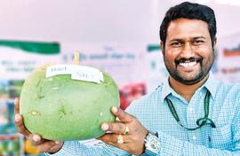 The new and juicy bael has arrived